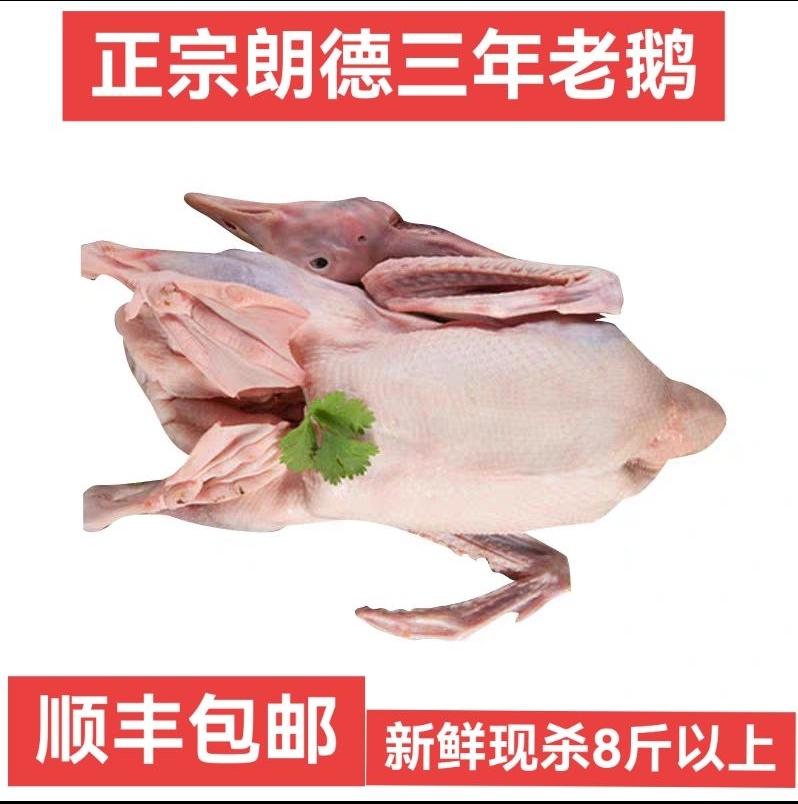 【三年老鹅体】净重8斤以上三年老鹅体现杀现冻发货