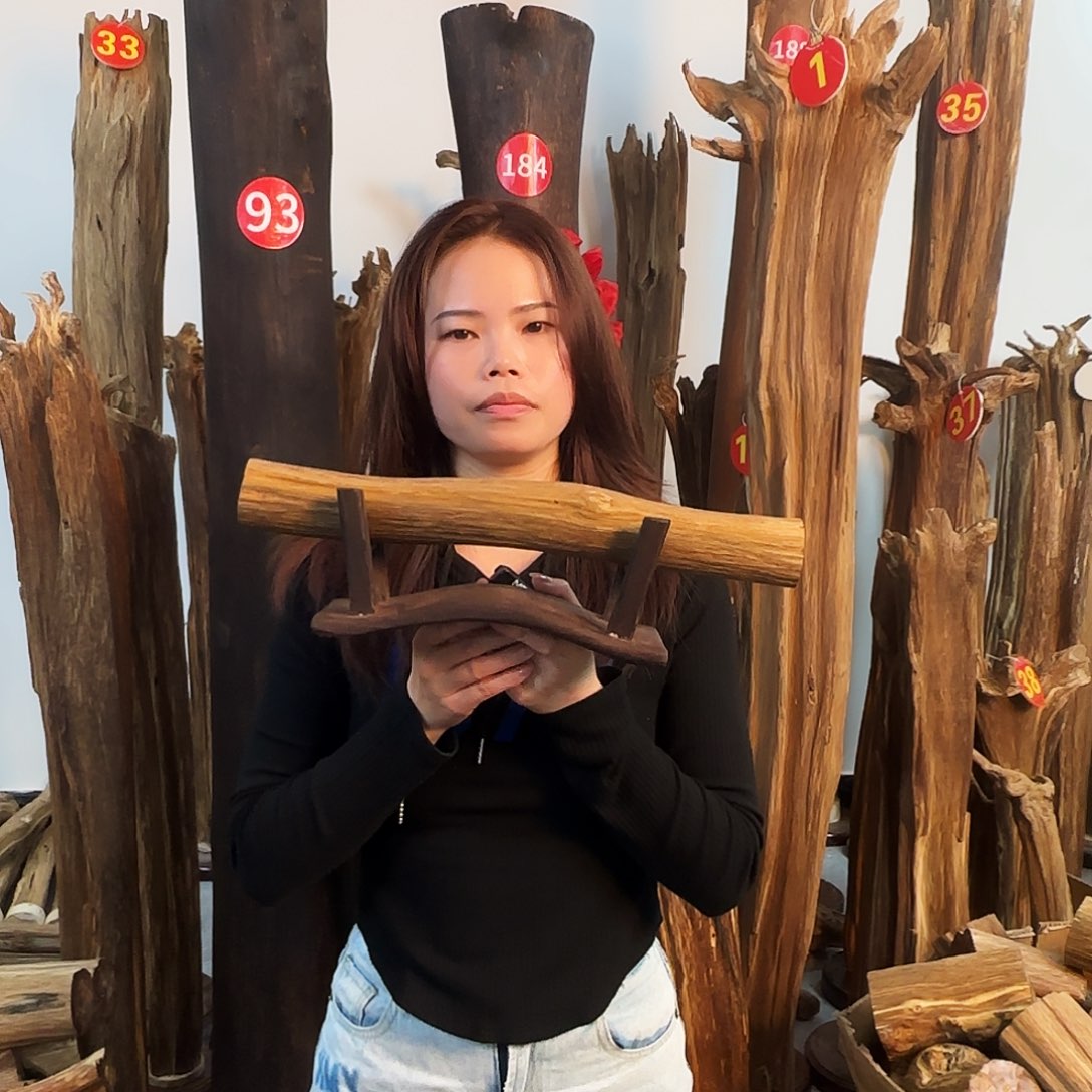 沉香摆件天然沉香原木摆件➕底座