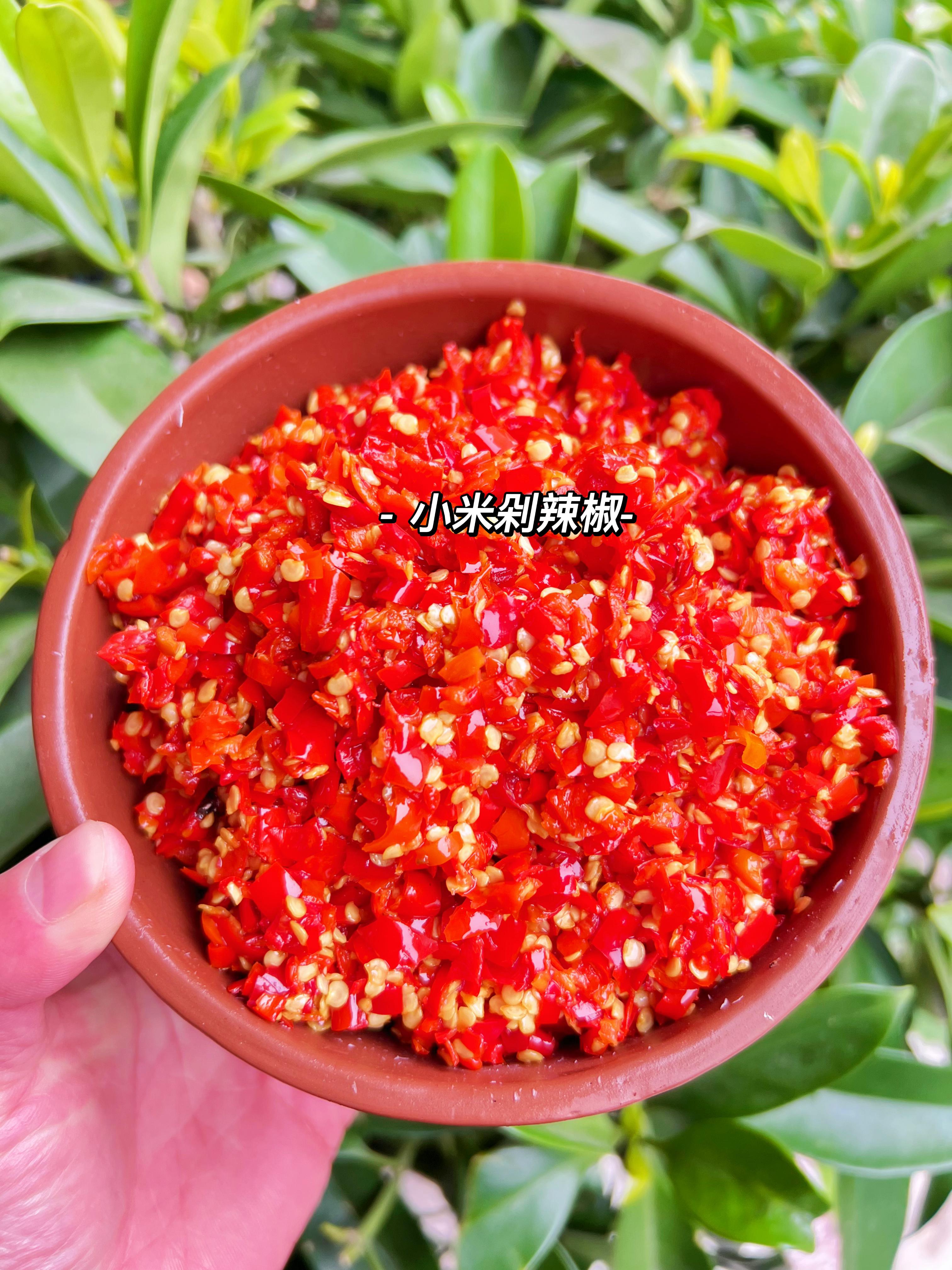 湖南特产手工现剁蒜蓉剁椒微辣口味下饭菜拌面拌粉适用