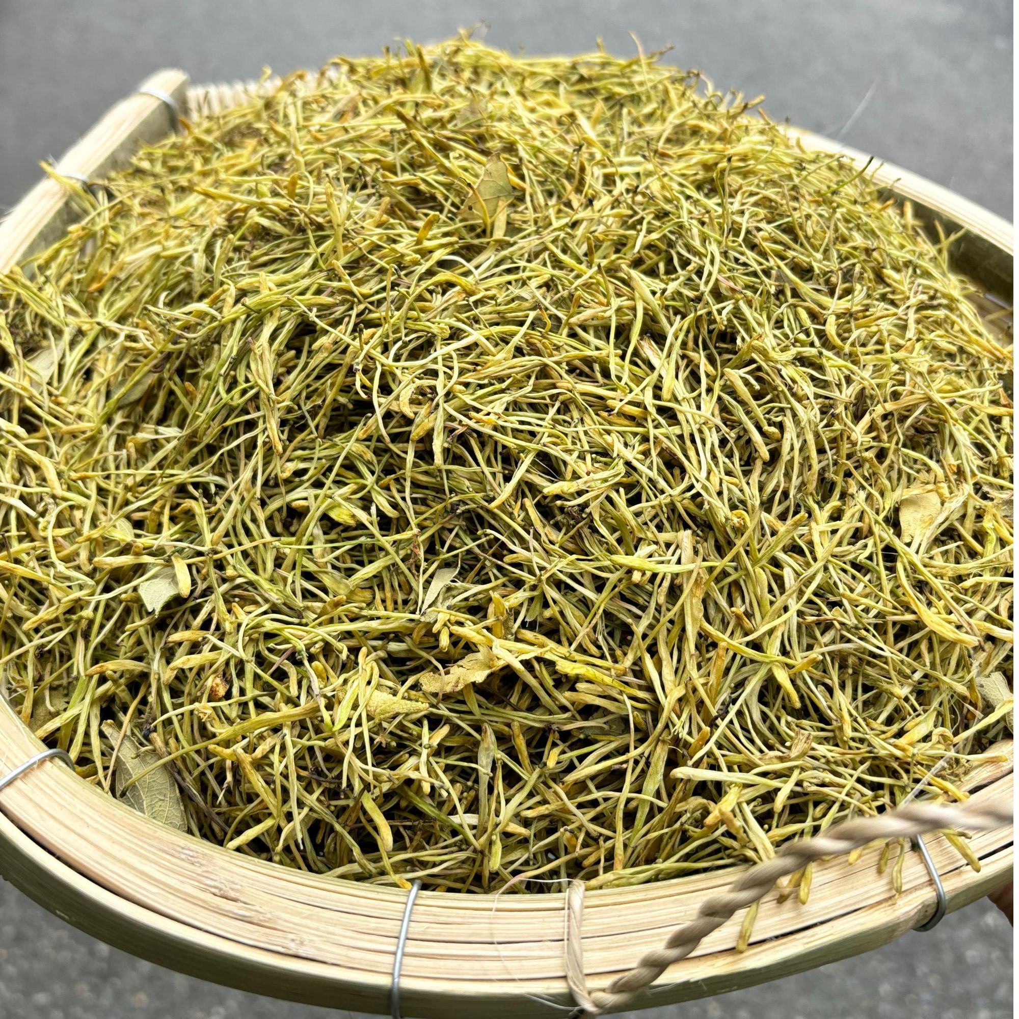 贵州高山野外生长的金银花——