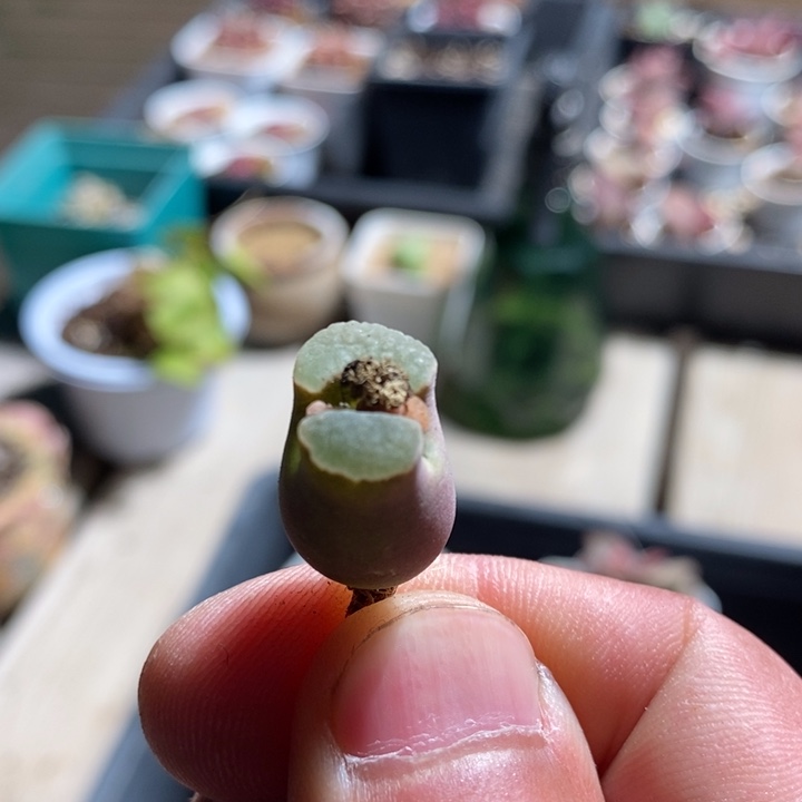 11248一个一个一个