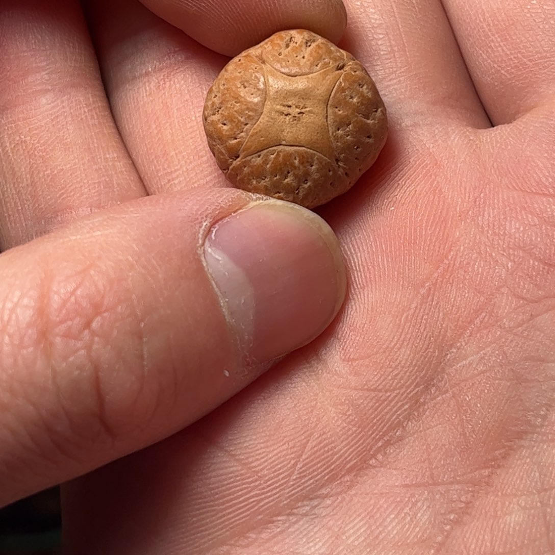桃核吊坠19mm麒麟眼，开孔不退，偏远不包