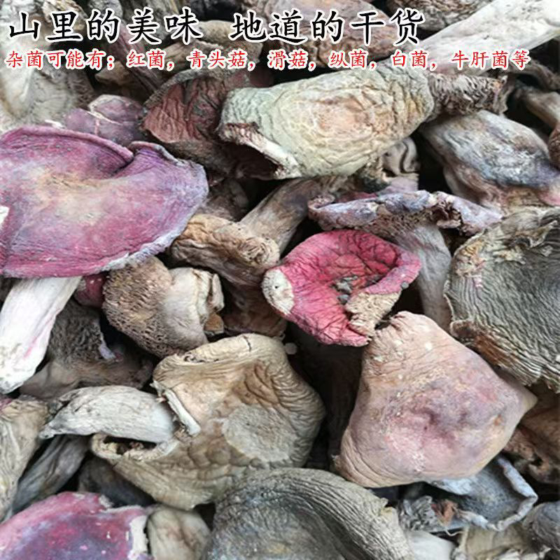 野生菌干货蘑菇干杂菌菇湖南野山菌红菇青头菌农家干菌子红蘑菇