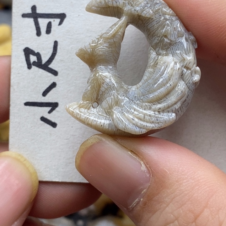 硅化珊瑚（珊瑚玉）未镶嵌颈饰