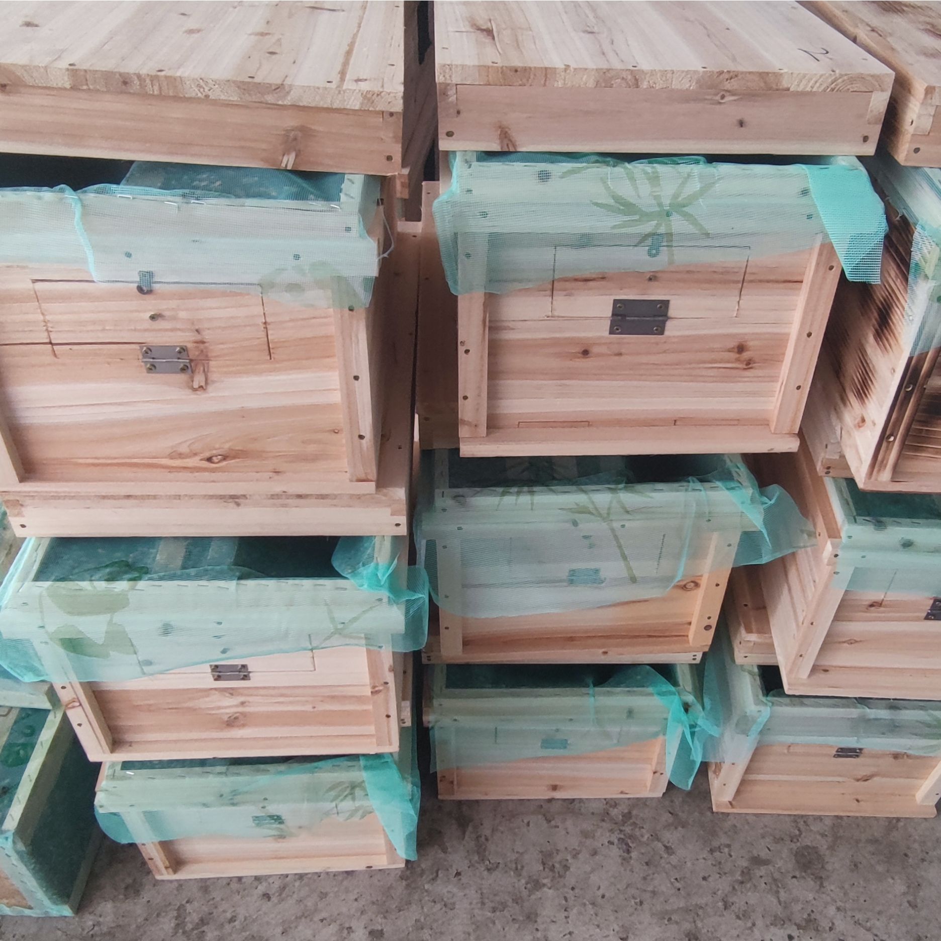 中蜂带箱七框十框中蜂箱带脾带蜂带王【直播间专拍】