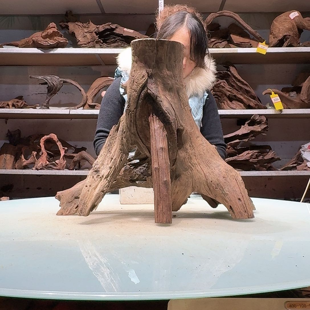 倍诸沉木不包损必褪色用****66081