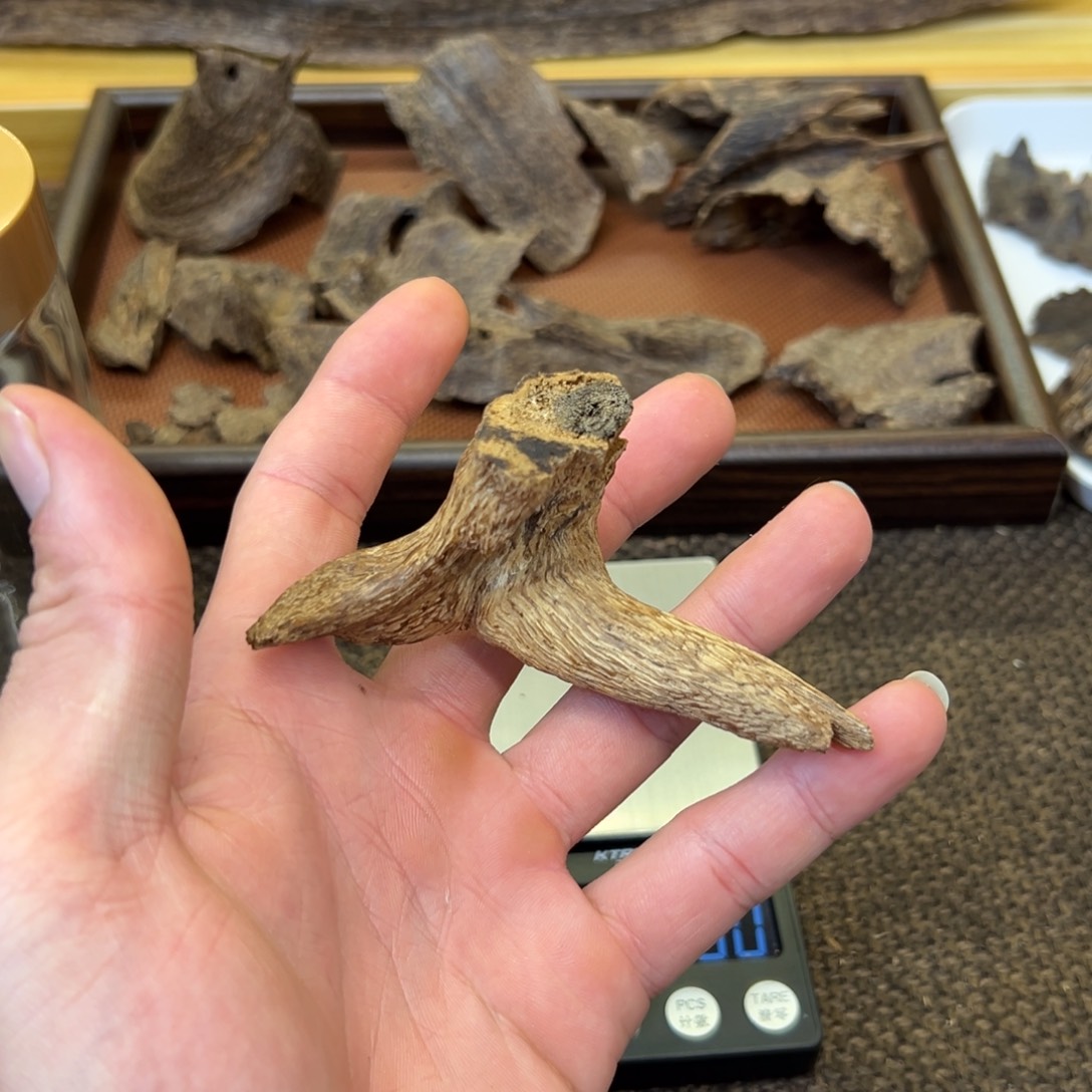 海南天然土沉树根7.35g