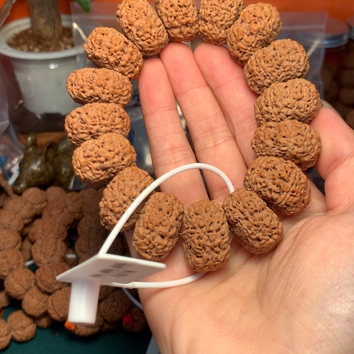 手串金刚菩提24尺寸菠萝蜜纽扣