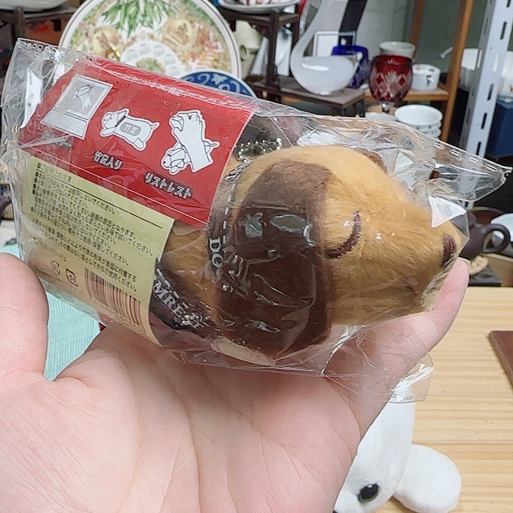 瓷片竹炭狗啊啊啊啊啊啊啊啊啊