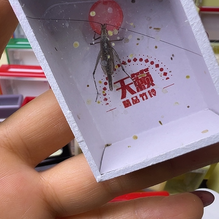 阖***瑞紫竹哈哈哈哈哈哈哈哈哈
