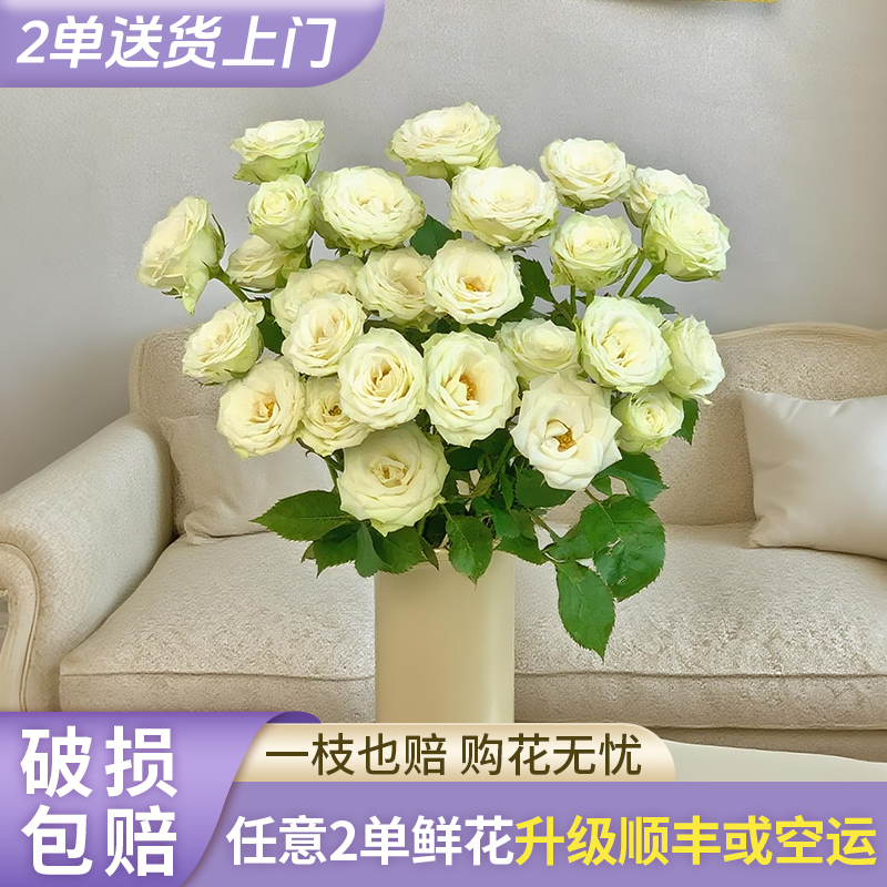 【源头优选】繁星多头玫瑰-水养插花用云南直发鲜花