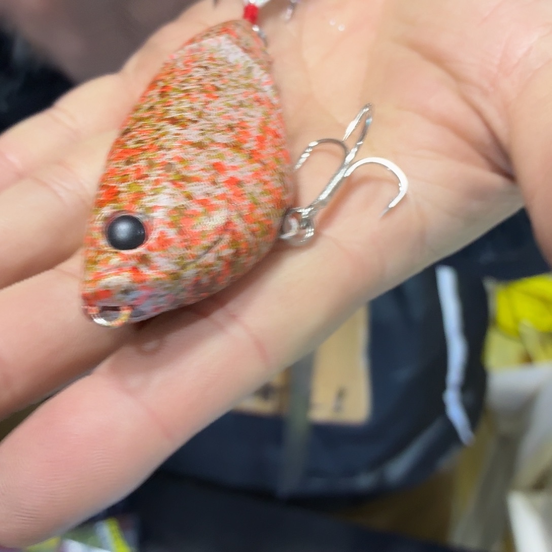 H56-3个颜色随机  