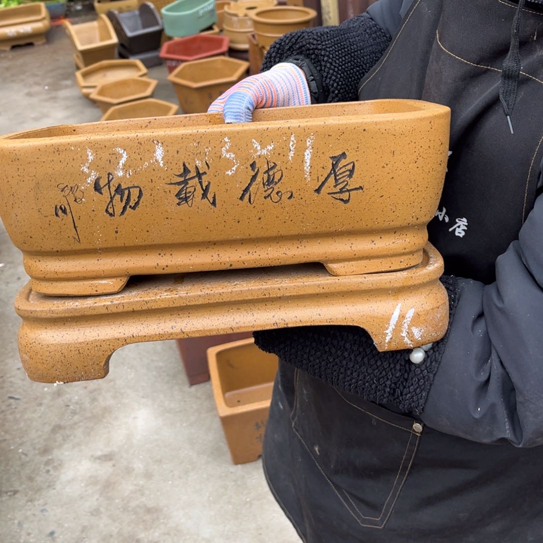 紫砂花盆盆景艺术
