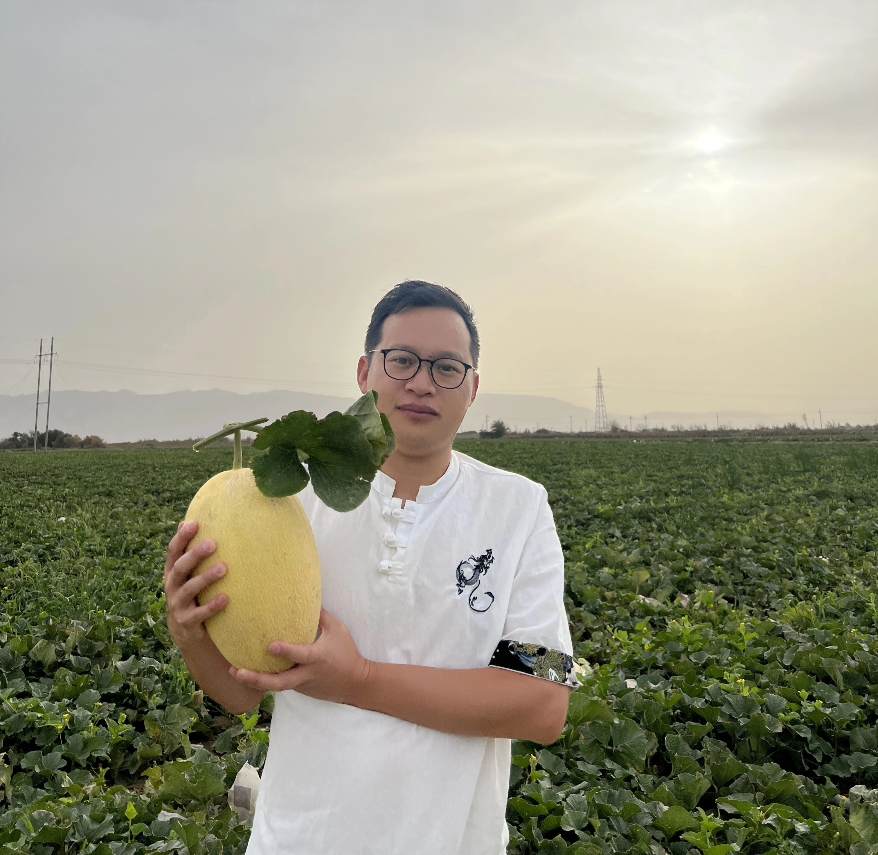 头茬新疆吐鲁番哈密瓜正宗金色年华哈密瓜脆甜多汁新鲜现摘