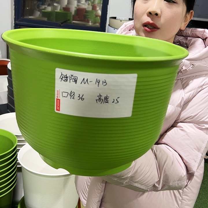 正品矮陶36高25果绿3只无托