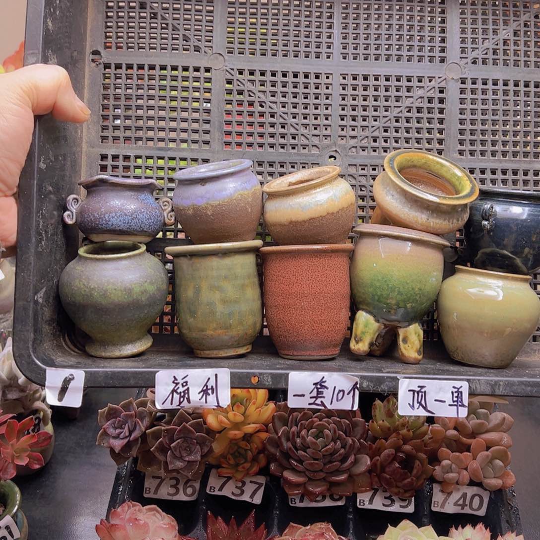 花钱花钱花钱花钱花钱