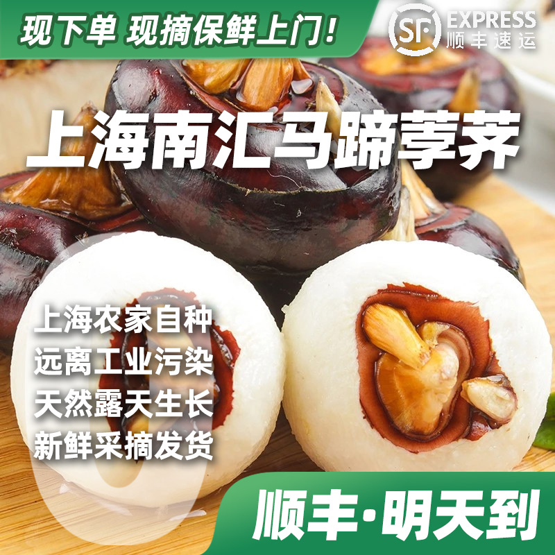 【顺丰·明天到】上海南汇马蹄荸荠3斤马蹄荸荠