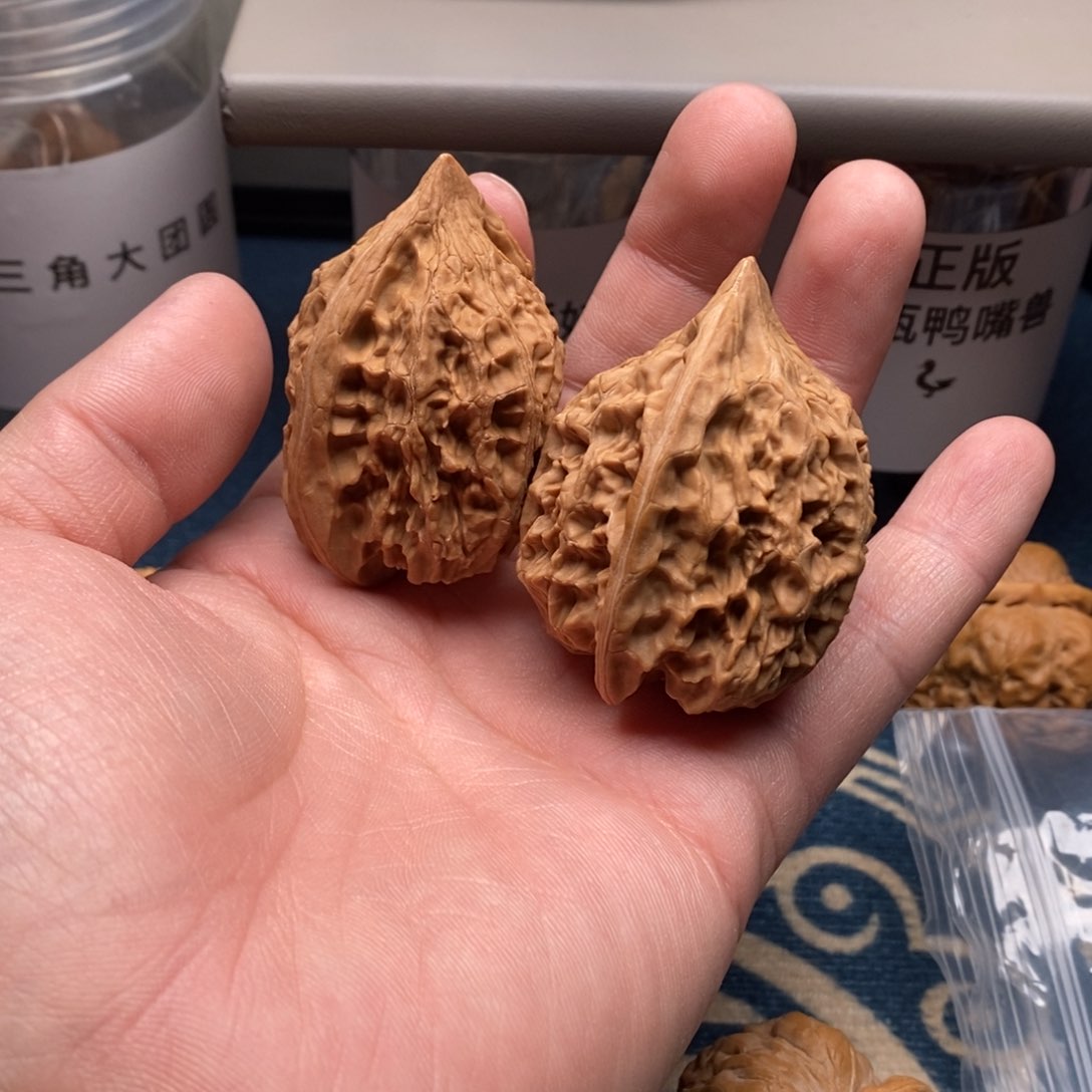 核桃把件嚣**张鸭嘴兽的