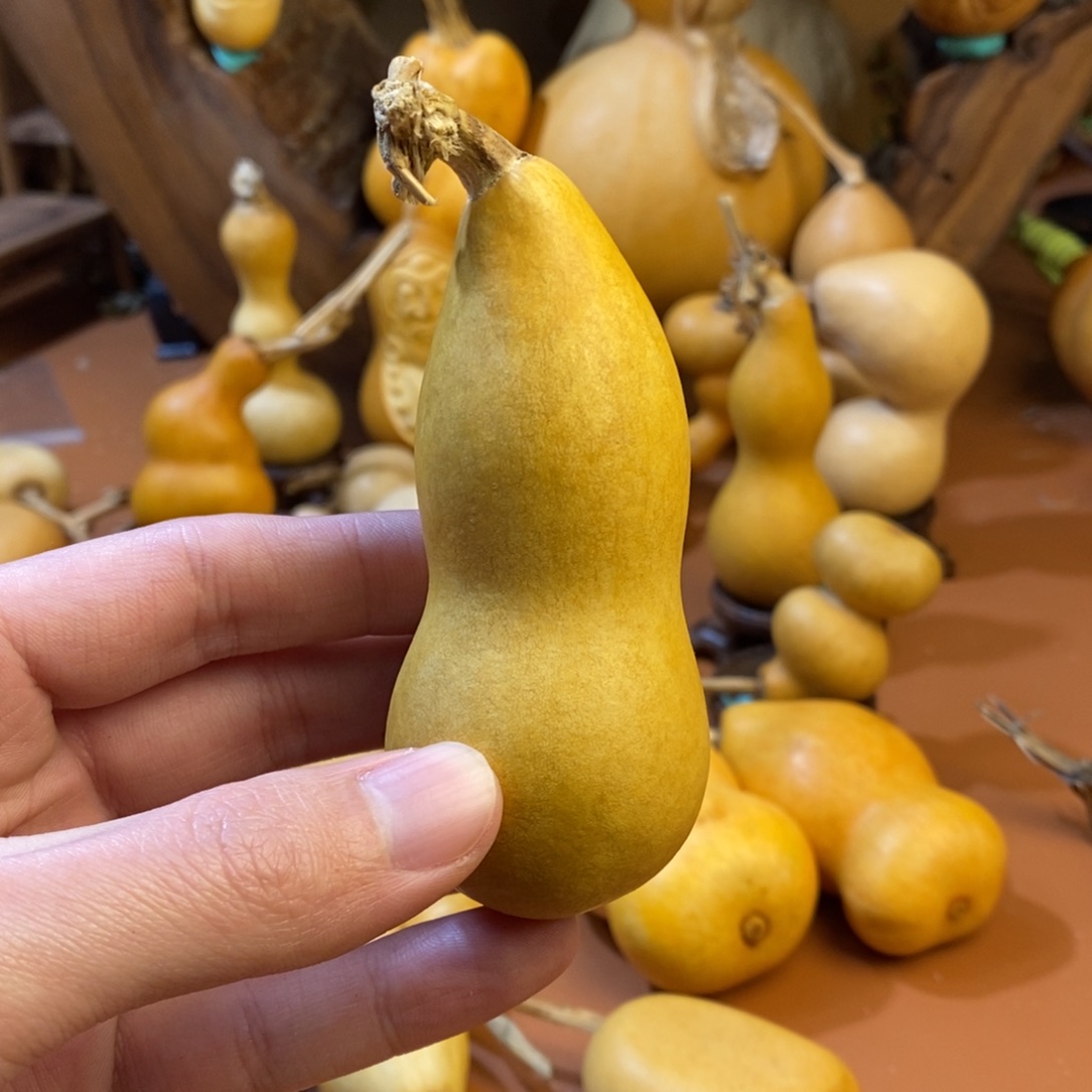 Ƽ***❁教练教练咯教练经理