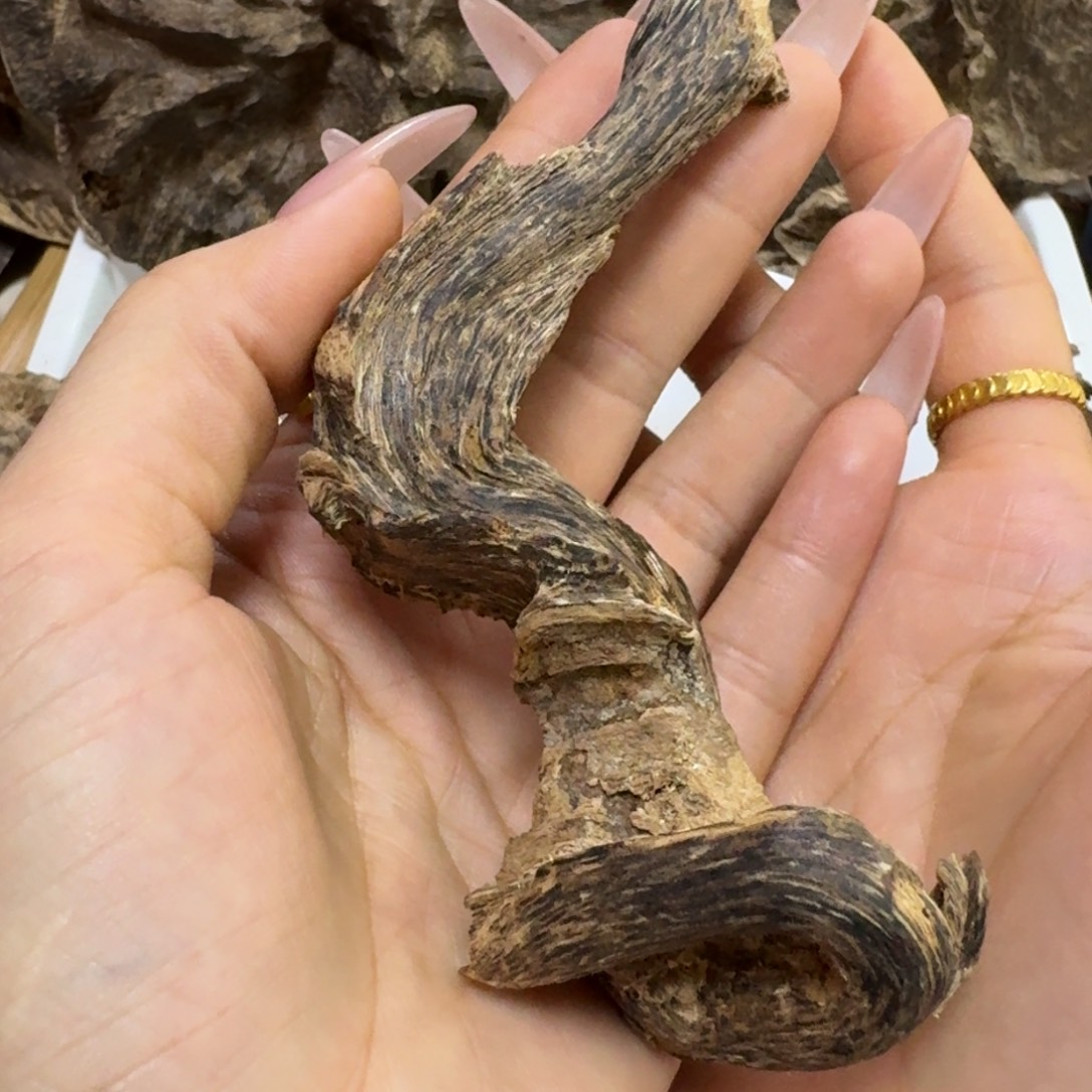 d***s沉香碎屑沉香海南沉香树根15克