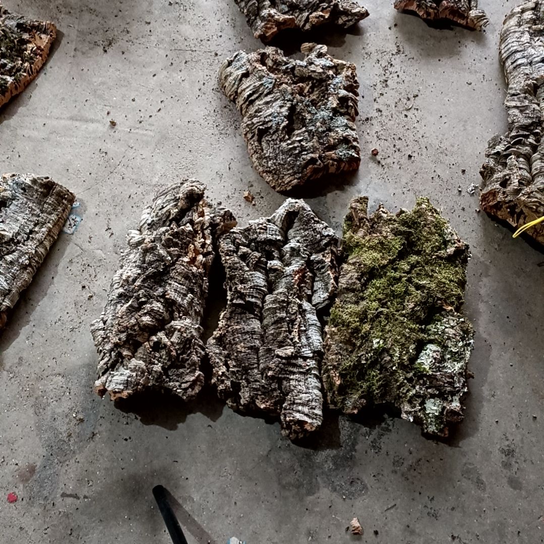 木一物一拍一物一发