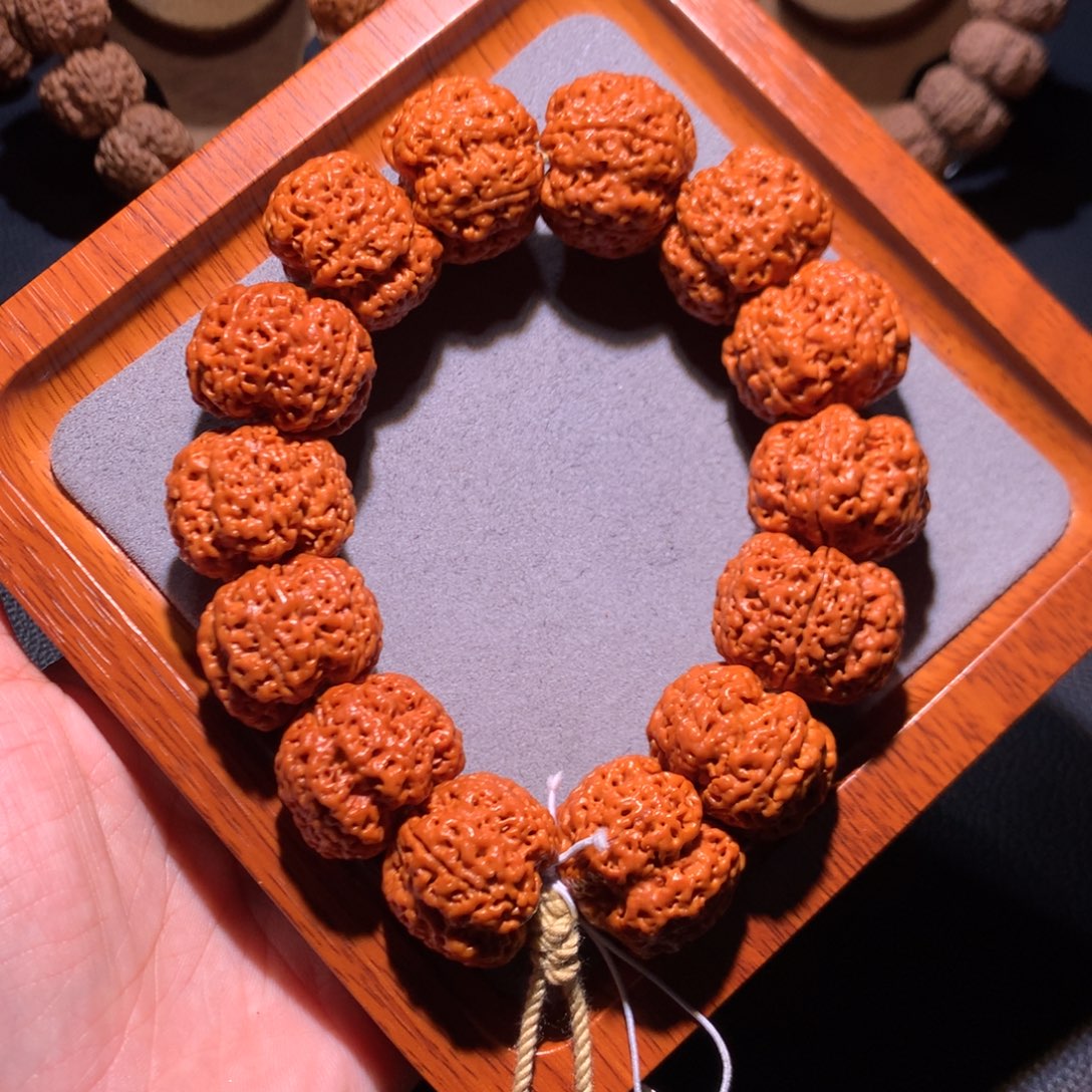 手串金刚菩提26爆肉巨龙