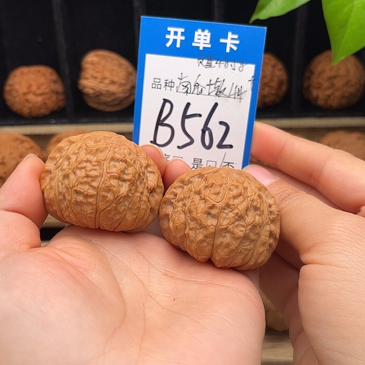 吊坠文玩核桃全品南瓜墩44