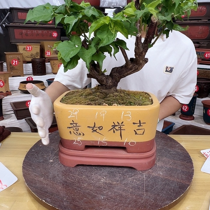 精品紫砂源头工厂直发