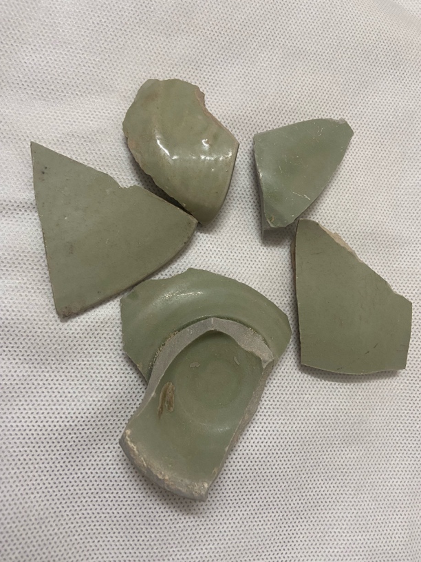 瓷片标本学习定向 片