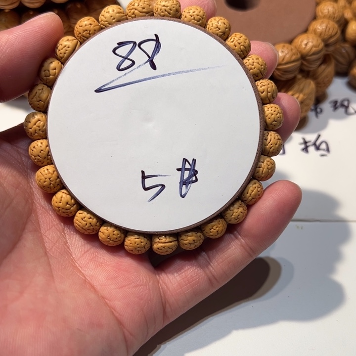 核桃桃核直播5号直播