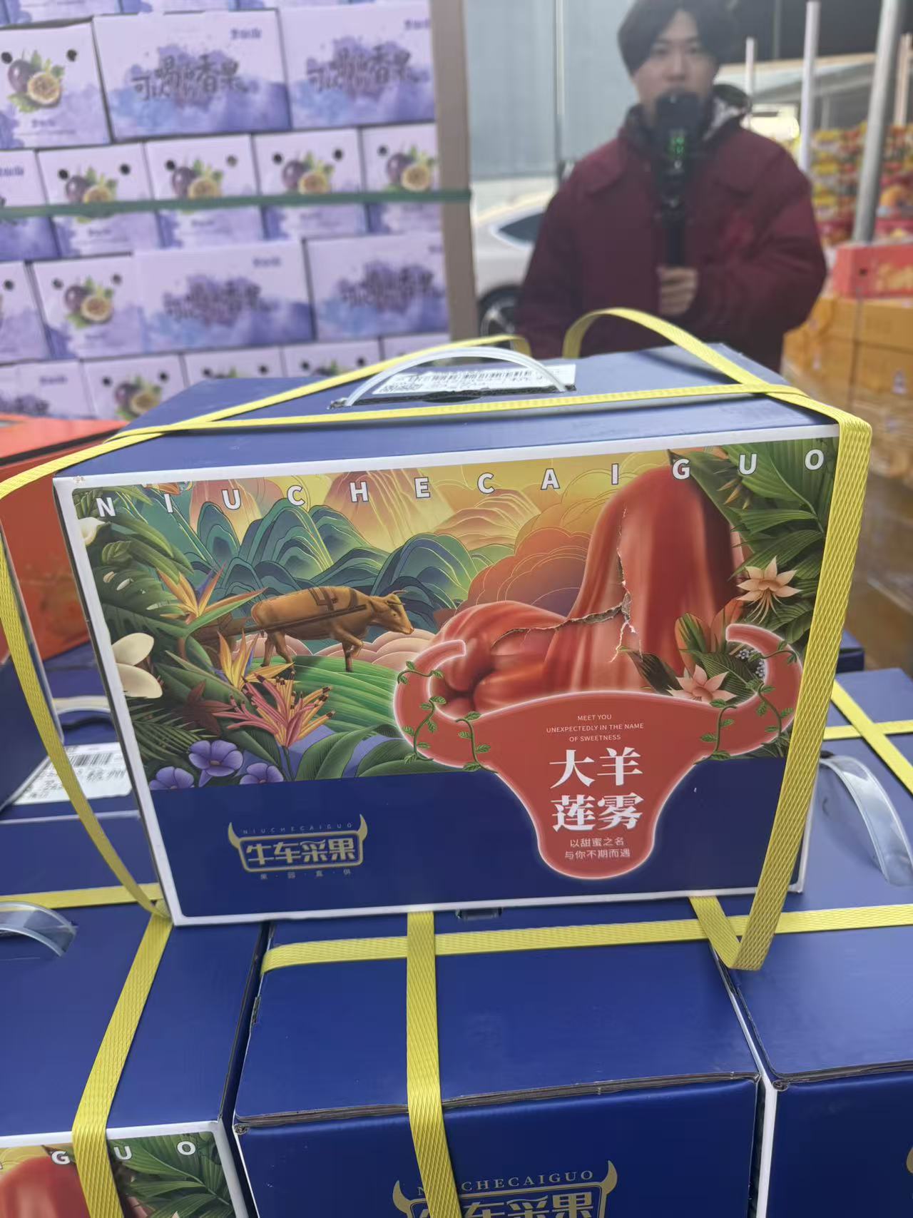【江浙沪次日达】莲雾箱装1.5kg 里面8-10颗