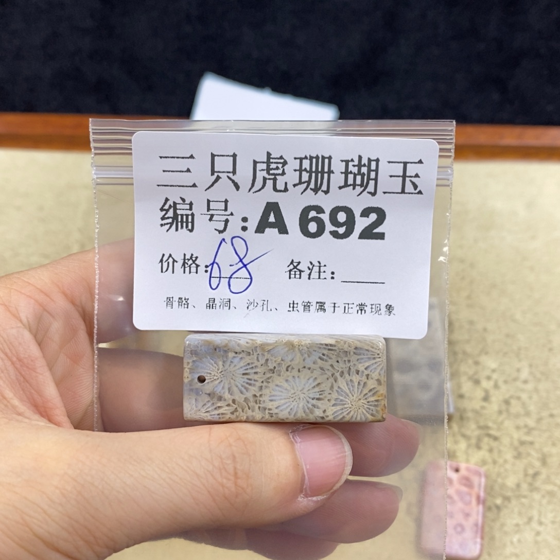 硅化珊瑚（珊瑚玉）1未镶嵌原*