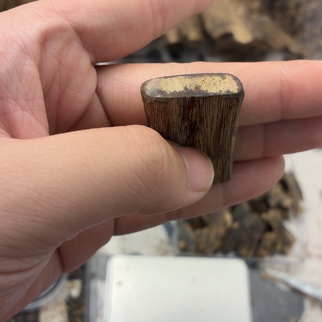 开播福利牌子5克加