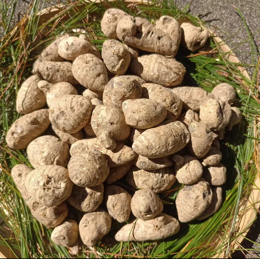 【小雪专属土特产】雪/三/七净含量250g