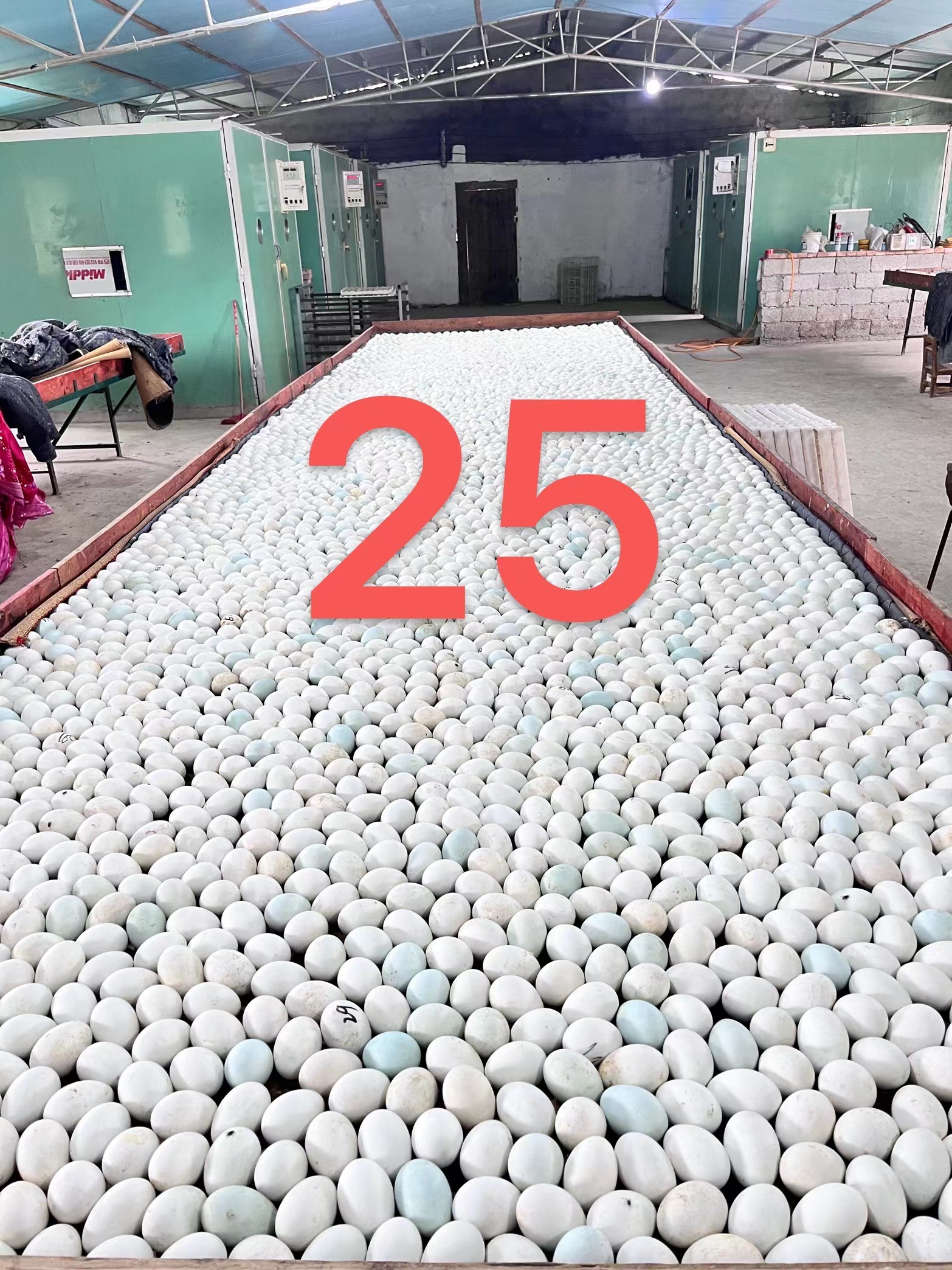 恺姐家鸭蛋本地麻鸭蛋顺丰包邮