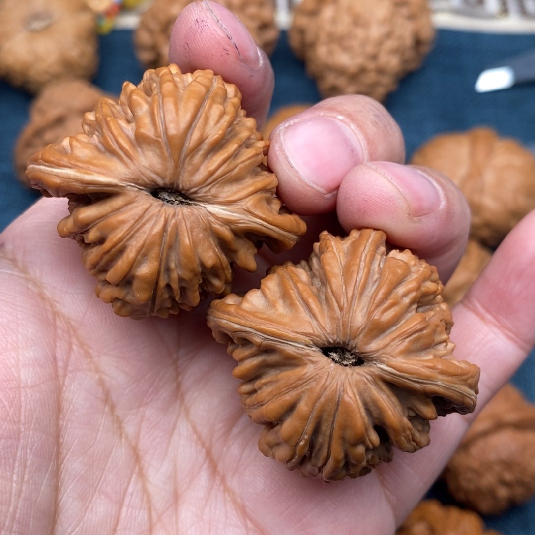 文玩核桃把件39精品汉高楼全品