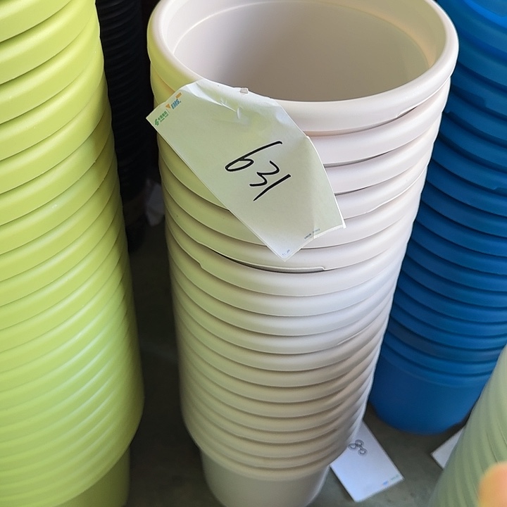 编号631缺口11个无托