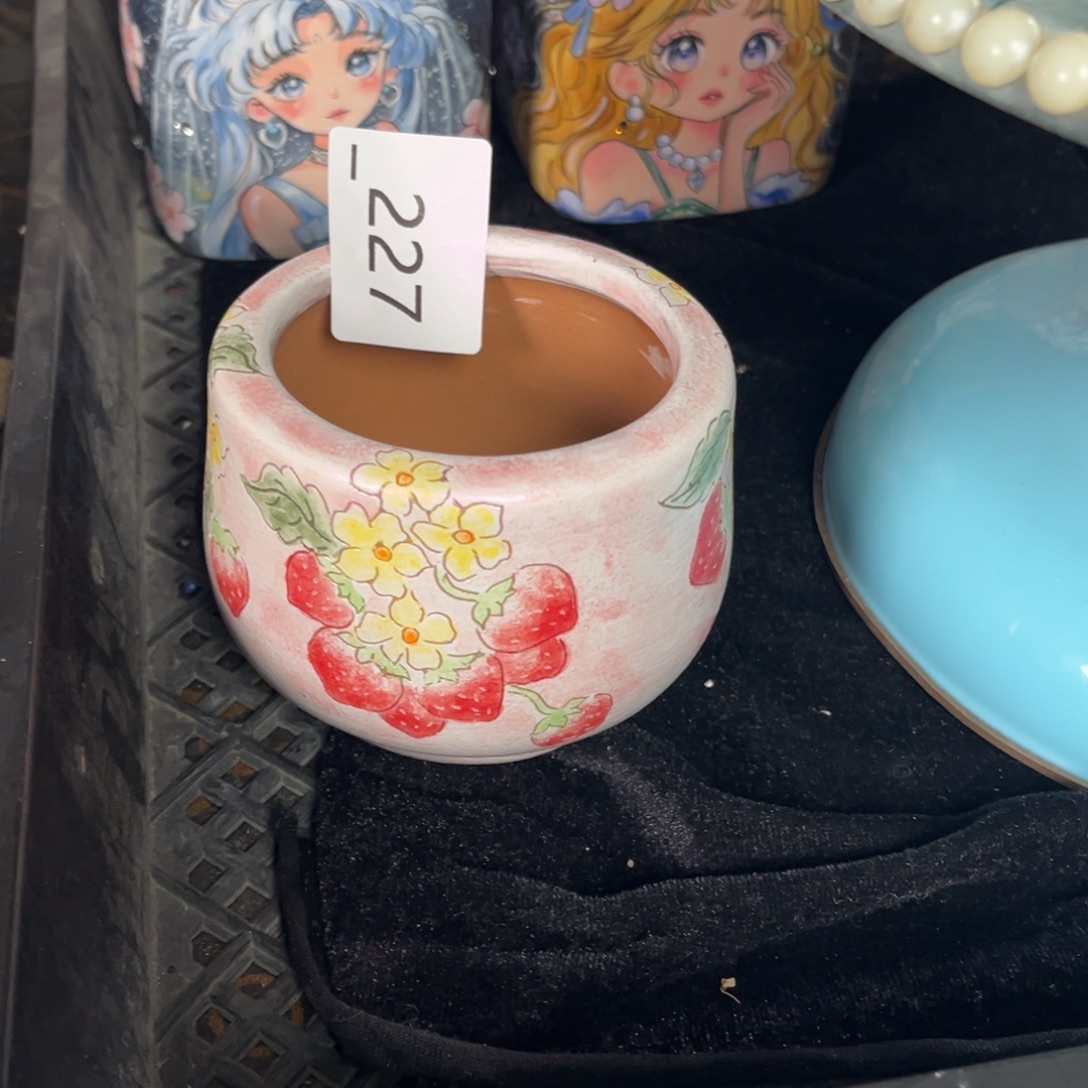 天***！227多肉花盆   1个