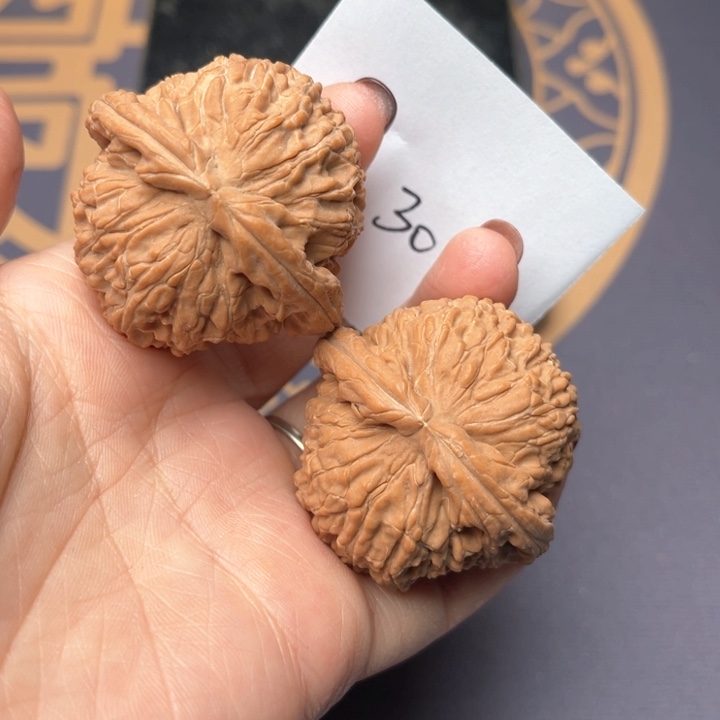 文玩核桃把件43白狮子 30号