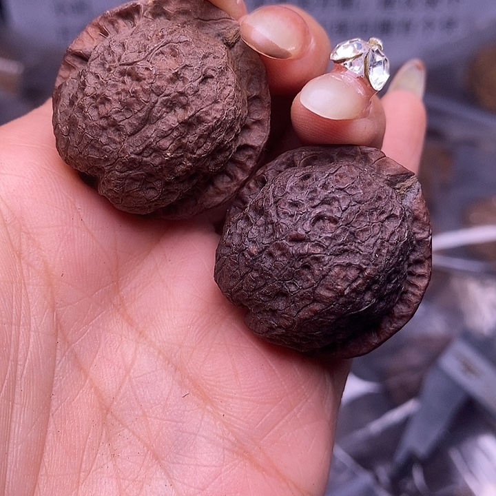 核桃云南野生铁核桃57号31mm