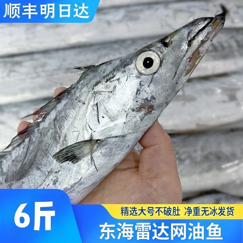 【净重6斤1-1.5斤/条】东海纯野生网捕小眼油带顺丰次日达码头直发带鱼