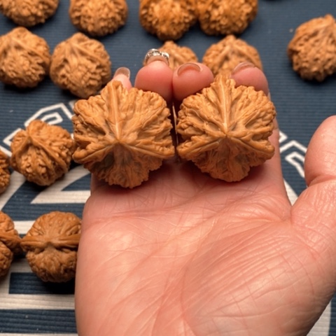 橄榄核手串/手链文山三棱39