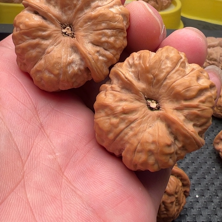 香***花核桃文玩核桃文玩核桃