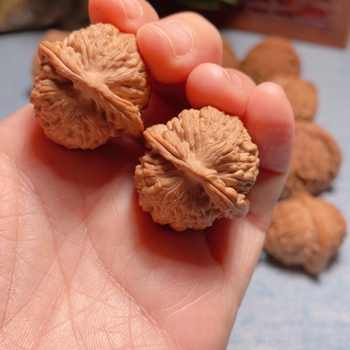 掌**猪29尺寸全品野生手捻