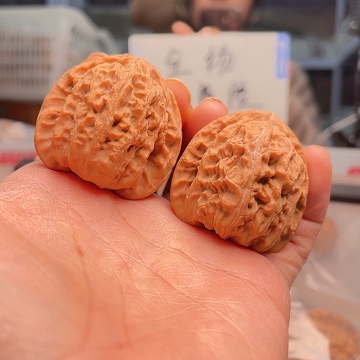 文玩核桃手串白石子27.8……龙