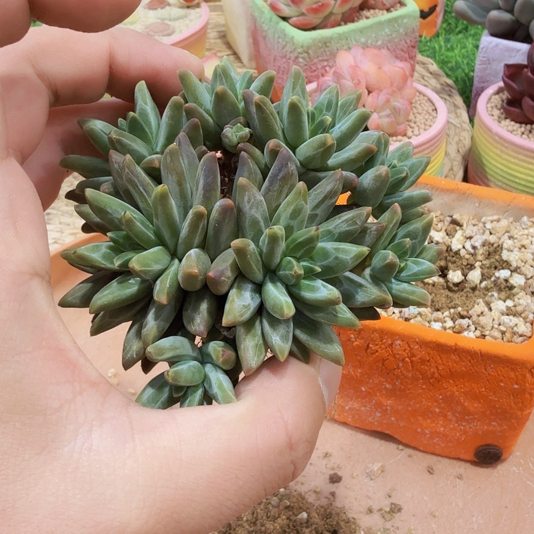 啊啊啊啊啊啊啊啊啊啊啊