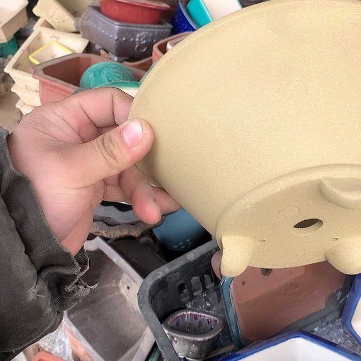 紫砂淘宝优惠券起单曲