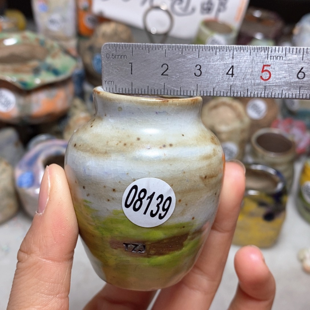 花盆拍5送一个小礼物