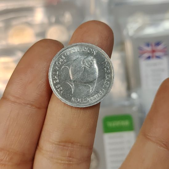 普通金属币71年粮农纪念一枚