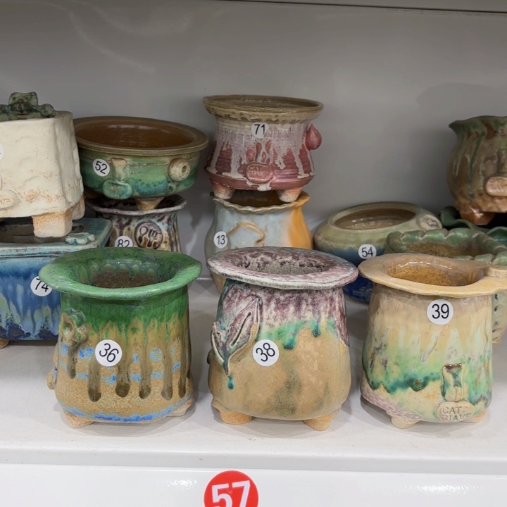 没扣6高9.5左右3个